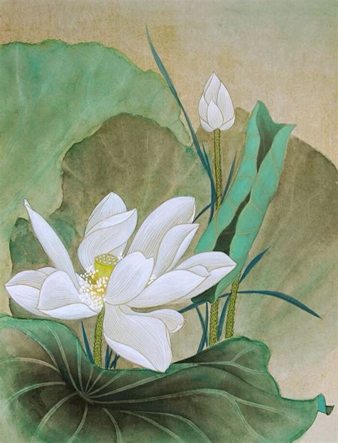 工笔画荷花图片