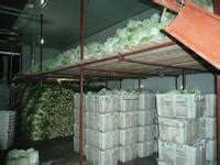 城阳国际冷冻食品物流中心 - 建设项目 - 青岛市城阳蔬菜水产品批发市场