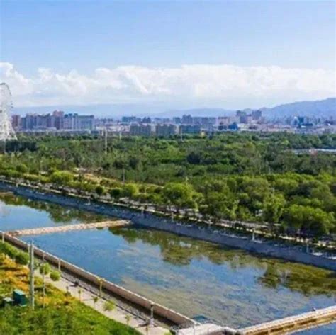 武威市2022年再完成24万亩新造林_绿化_森林_凉州区