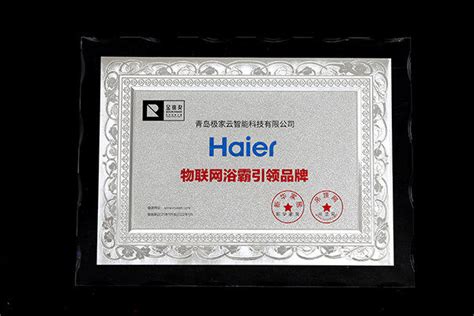 海尔联合天猫优品发布家电下沉市场第一本行业白皮书 -新闻中心-中国家电网