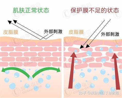 内存卡怎么受损修复不了