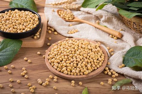【食疗养生】3种经典豆制品的营养与食疗