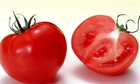 西红柿又酸又硬没有“番茄味”，小伙耗费5年种植找原因，啥情况|乙烯|西红柿|梁国庆_新浪新闻