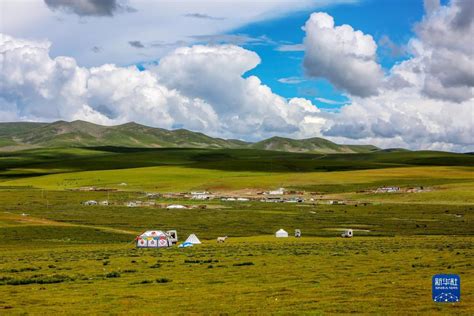 西藏：七月羌塘美如画_荔枝网新闻
