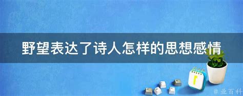 野望表达了诗人怎样的思想感情 - 业百科