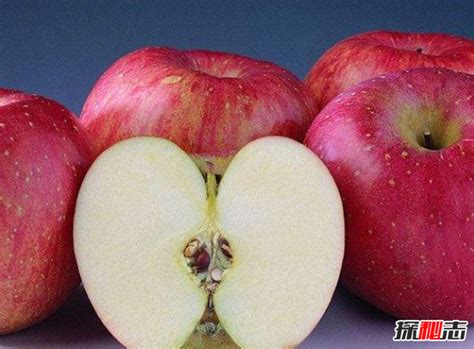 维生素最多的水果是什么水果_百度知道