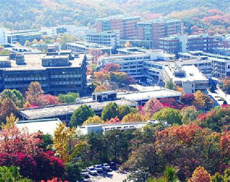 韩国首尔大学申请攻略|学费|条件-芥末留学