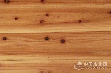 8张杉木板图片展示-木业网
