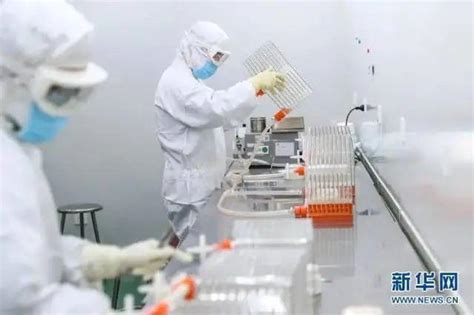 一支新冠疫苗的自述…_深圳新闻网