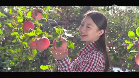 高空航拍洛川千亩有机种植苹果园_腾讯视频