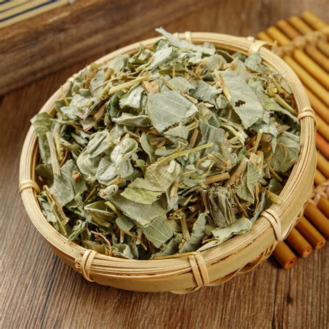 广金钱草图片