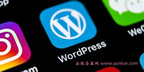 WordPress网站加速服务：如何快速优化提高wordpress网站打开速度 - 云服务器网