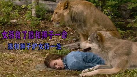 【寓言故事】狮子和狼-Word模板下载_编号qnypmpav_熊猫办公