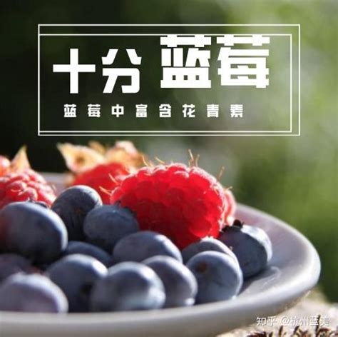 杭州蓝莓产业新型模式，符合中国农业产业化经营的发展趋势 - 知乎