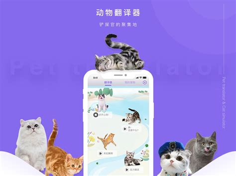 动物翻译器-人猫交流器_MIA_酱-站酷ZCOOL
