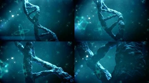 双螺旋结构细胞遗传学病毒动画 螺旋 细胞遗传 病毒 干细胞 细胞核 研究 分裂 进化生物 技术细菌 人类细胞 微生物 生物细胞 DNA 病毒 ...