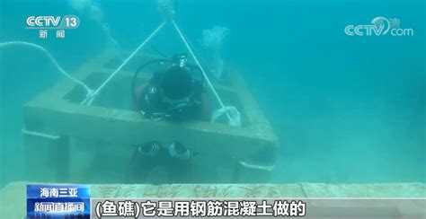 南海所原生生物群落结构对人工鱼礁构建的响应机制研究取得新进展-中国水产科学研究院