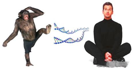 这只猩猩差点“变成人”？发生基因突变，和人类仅有1.2%的差异 - 黑点红黑点红