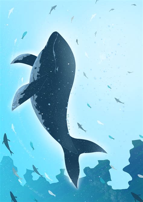 海洋科普：深海墓地——一条鲸鱼的死亡-深i科普