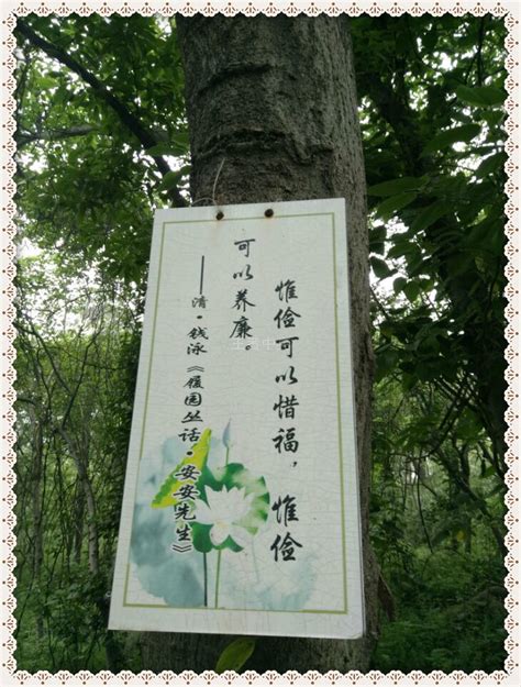 树的故事书有哪些名字（7本关于树的故事书推荐） | 潇湘读书社