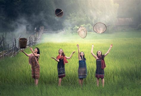 大米,稻田,绿色农村,女人们,自由,欢乐,手臂,明亮,畅快,庆祝,5K图片-千叶网
