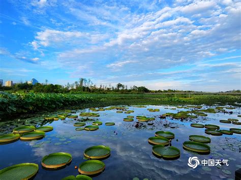 四川遂宁：生态湿地公园绿意盎然-人民图片网