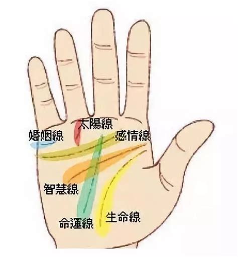 【手相】男女手纹断掌的手相解析-手相面相-天居阁