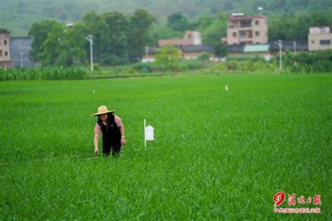 清远五大百亿农业产业再向十大方面发力-广东省农业农村厅网站