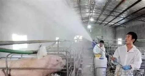 畜牧养殖场自动喷雾消毒降温设备-环保在线