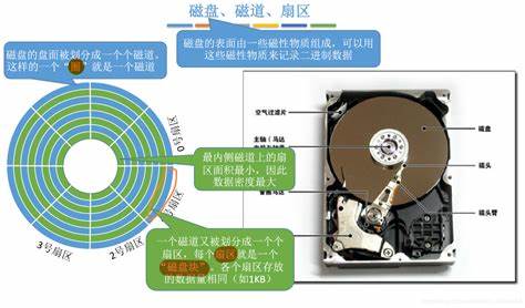 内存储器由什么构成