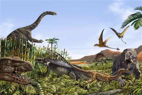 恐龙演化为鸟类的过程中羽毛是何时出现如何演化的？