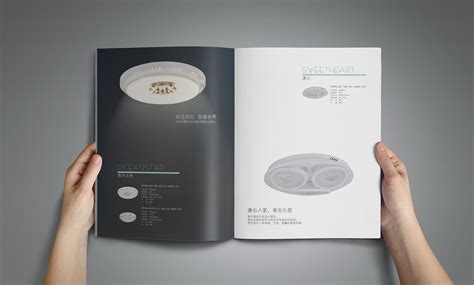 雷士照明丨2016产品手册|平面|书籍/画册|钟泽平 - 原创作品 - 站酷 (ZCOOL)