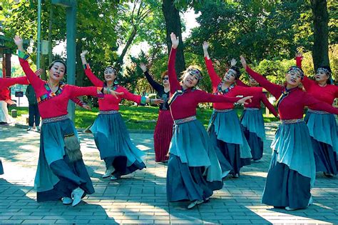 校舞蹈队在省大学生舞蹈锦标赛中取得优异成绩
