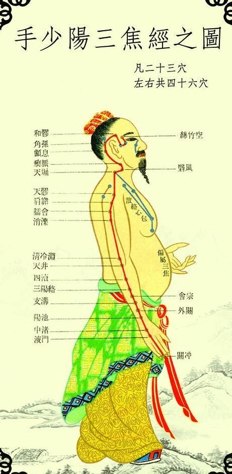 三焦经经络图图片