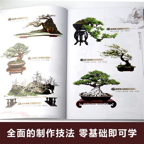 盆景的12个造型原则，让你了解树木盆景该如何造型！