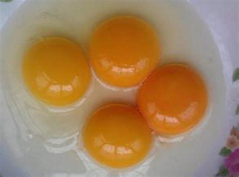土鸡蛋造假加色素！小鸡蛋有大玄机_其它_长沙社区通