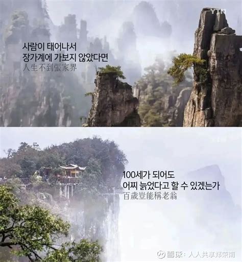 春天来了，张家界的山上又“长”满了韩国人。 据韩国最新数据显示，今年1月份赴华的韩国游客超过14万人次，同比暴增900%。其中，张家界是绝对的热门。在刚刚过去的20... - 雪球