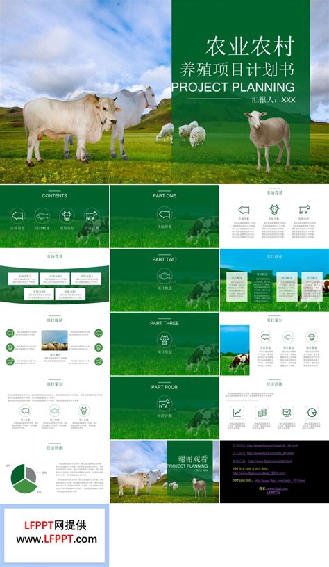 我国家禽养殖现状及前景-河北畜牧网|畜牧业信息分享平台