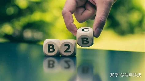 b2b与b2c的主要区别 而其中文简称为商对客