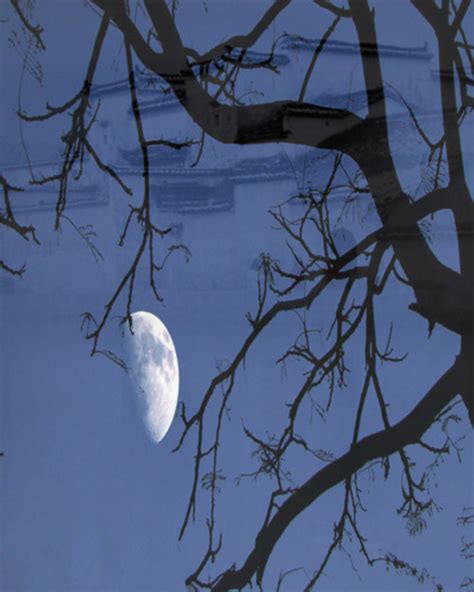 诗人望月图片,相思望月图片,望月图片_大山谷图库
