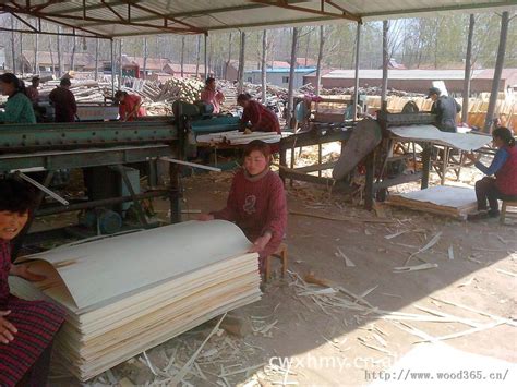 菏泽庄寨镇召开中国人造板产业高质量发展研讨会-木业网