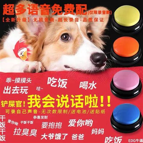 宠物交流器狗玩具按键说话录音按钮训练益智发声玩具猫咪狗狗用品-阿里巴巴