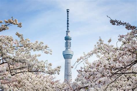 2019年5月31日日本永住申请条件全面升级改版， 准备好了吗？ - 知乎