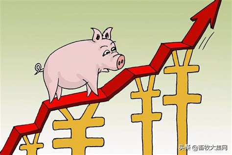 猪肉价格走势，近20年生猪价格曲线图-慧博投研资讯