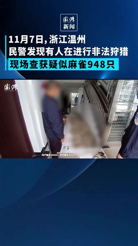 男子非法捕获近千只鸟被当场抓获，现场查获疑似麻雀948只_凤凰网视频_凤凰网