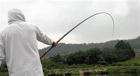 黑坑草鱼如何钓？黑坑草鱼的钓位、钓法、线组和用饵技巧 - 知乎