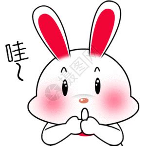 哇啦哇啦图片