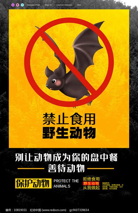 简约创意拒绝食用野生动物宣传海报设计图片下载_psd格式素材_熊猫办公