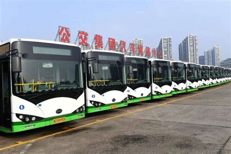 下月起，老年人统一凭身份证免费乘坐公交车！_衡阳市_乘客_公交集团