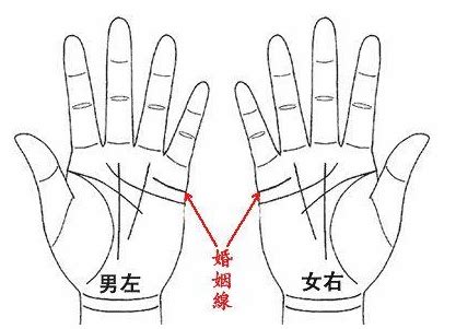 手掌感情线图解图片